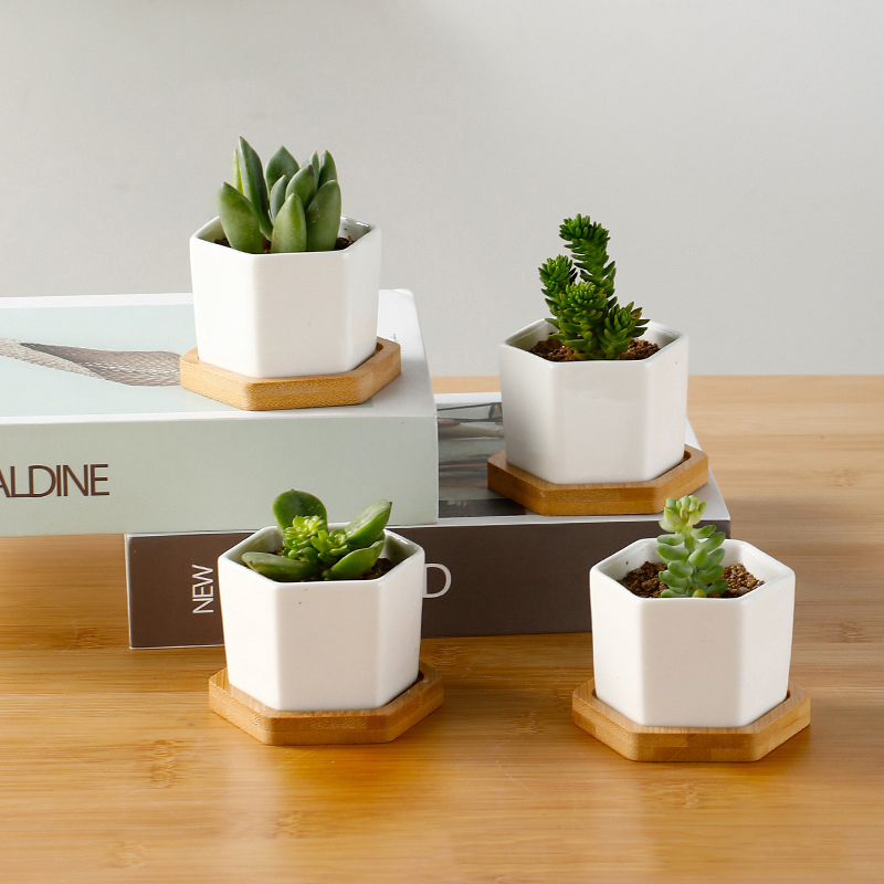 Aloe Vera Pot - وعاء سيراميك سداسي الشكل أبيض مع