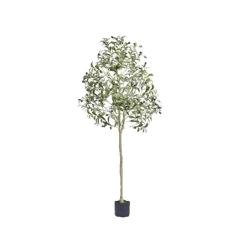 Dracaena Marginata - شجرة زيتون صناعية من SucceBuy بطول
