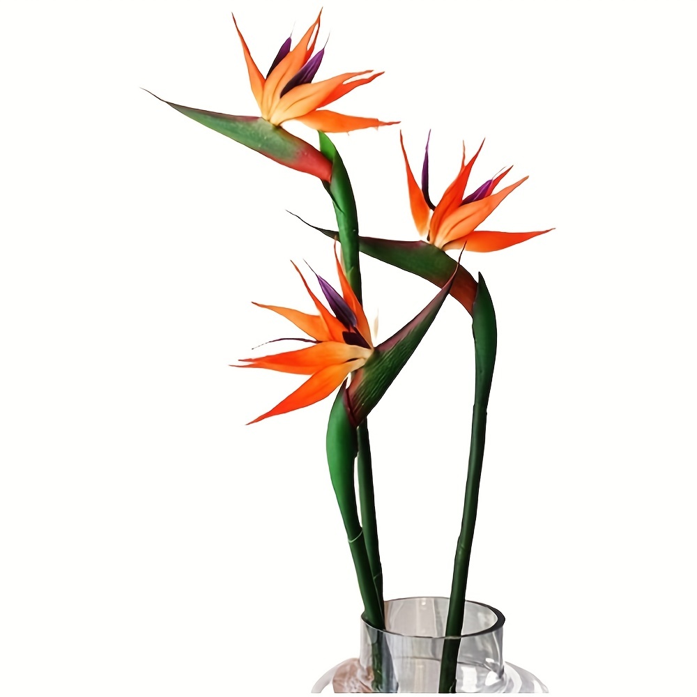3 قطعة طائر الجنة الاصطناعي ال - مراجعة Bird Paradise Strelitzia وسعره