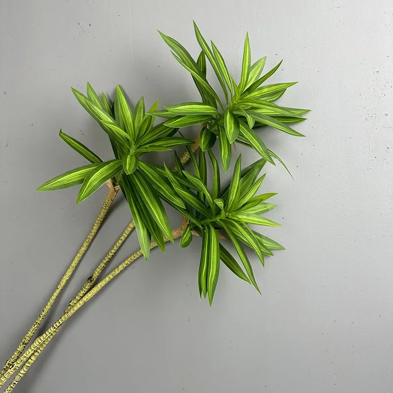 نباتات خضراء اصطناعية زنبق است - مراجعة Dracaena Marginata وسعره