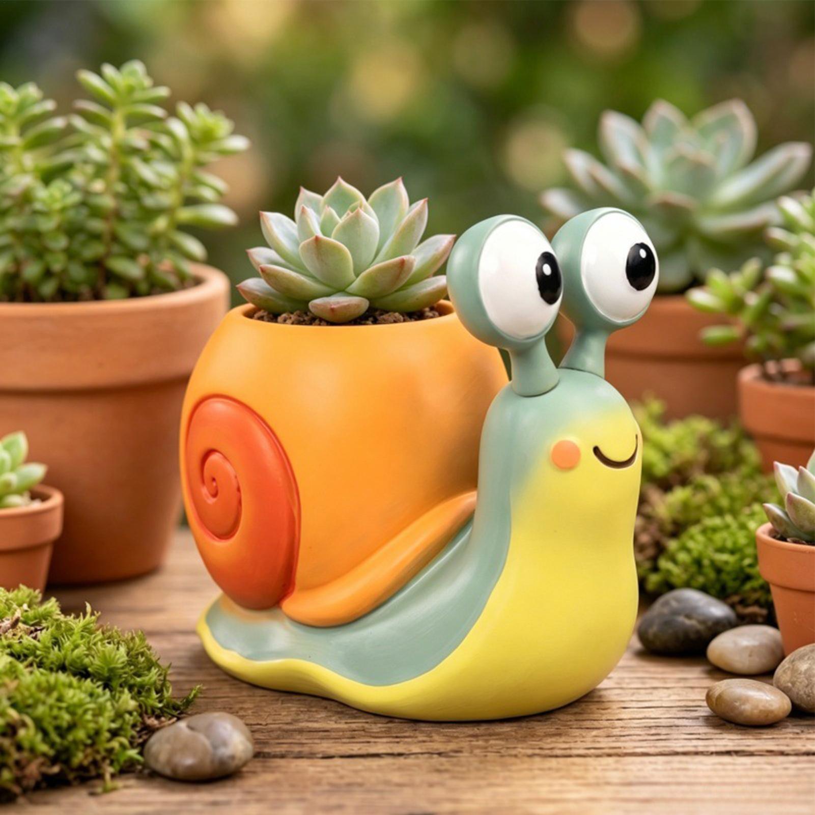 وعاء زهور على شكل حلزون، حامل  - مراجعة Echeveria Succulent وسعره