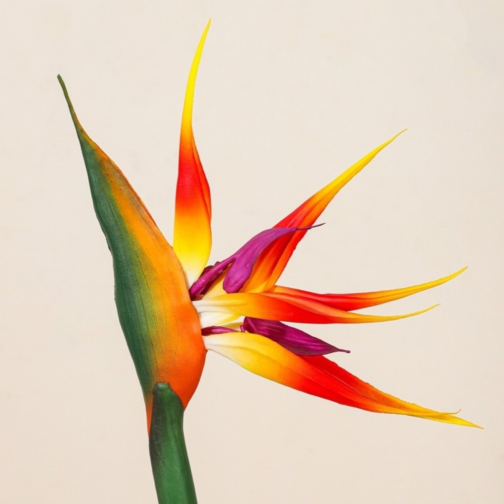 نباتات صناعية جديدة طويلة السا - مراجعة Bird Paradise Strelitzia وسعره