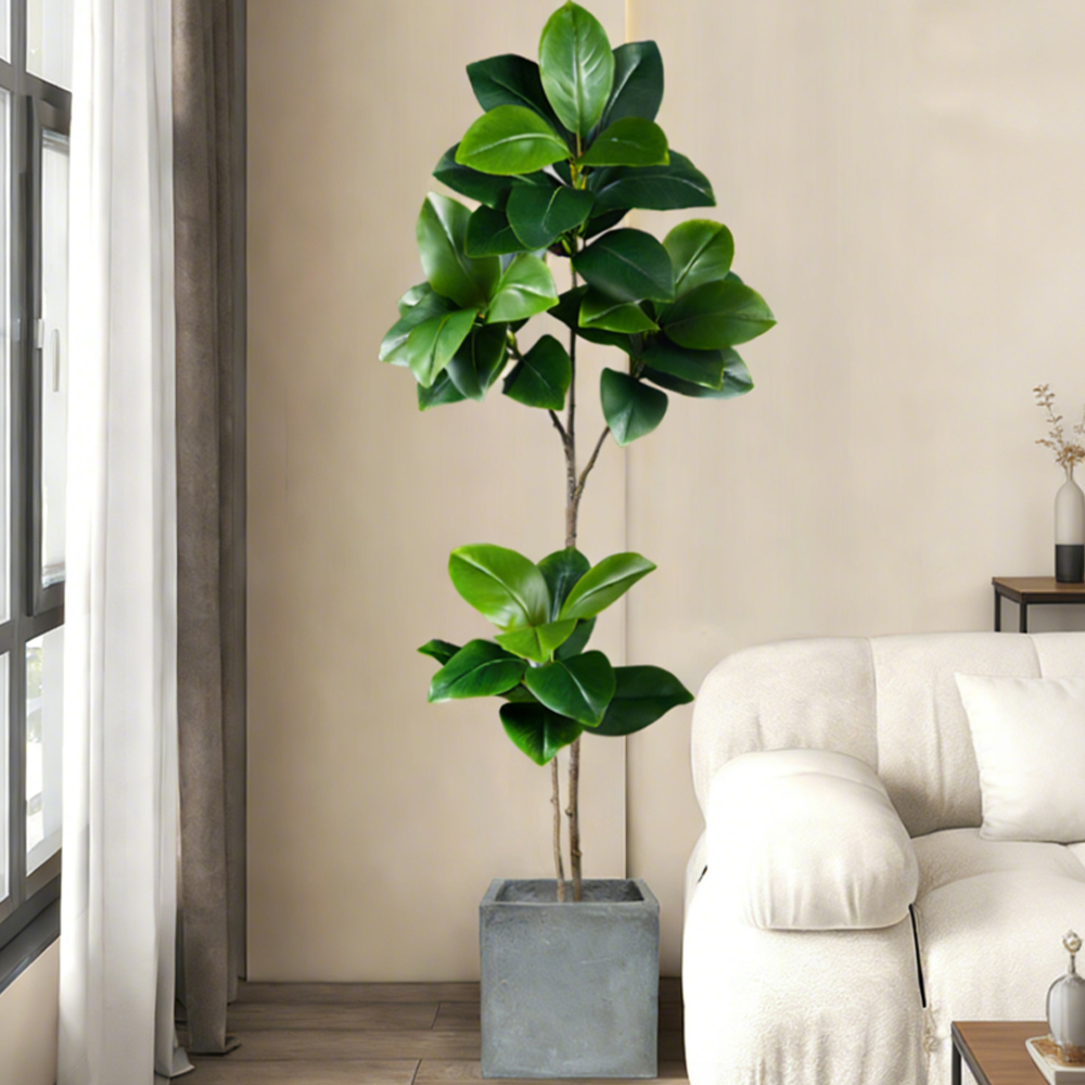 شجرة مطاطية صناعية بطول 74-140 - مراجعة Dracaena Marginata وسعره