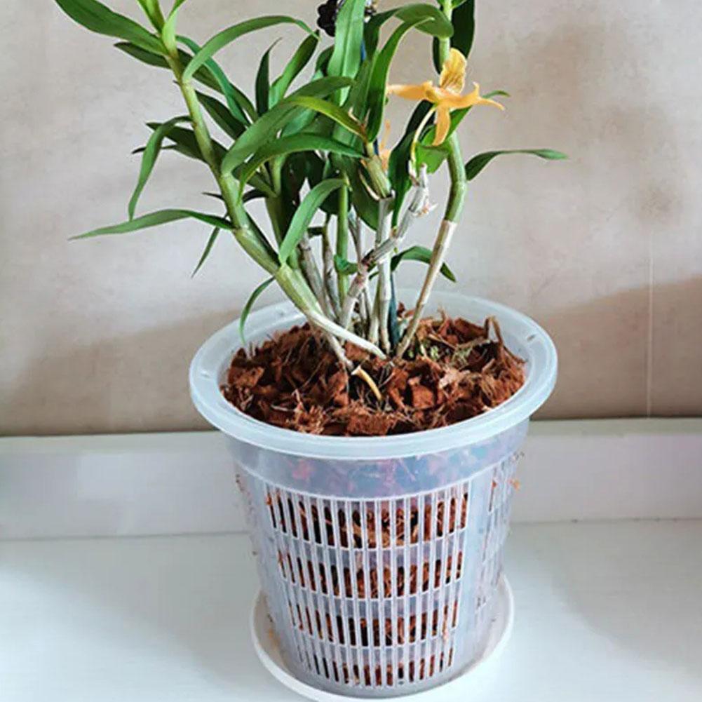 وعاء شبكي للتحكم في الجذر أصيص - مراجعة Aloe Vera Pot وسعره