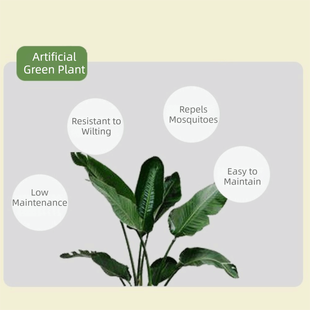شجرة تين اصطناعية خضراء كبيرة  - مراجعة Dracaena Marginata وسعره