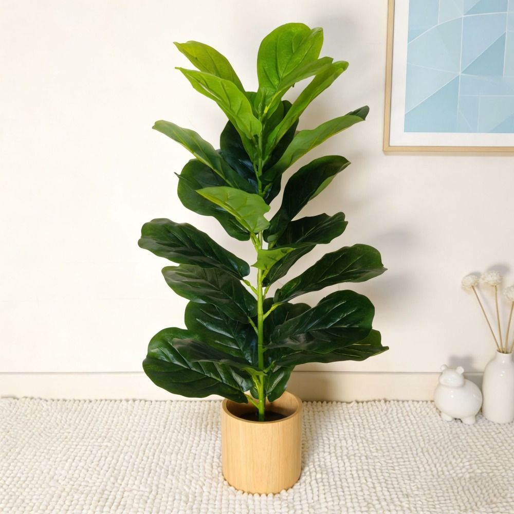 شجرة تين اصطناعية خضراء كبيرة  - مراجعة Dracaena Marginata وسعره