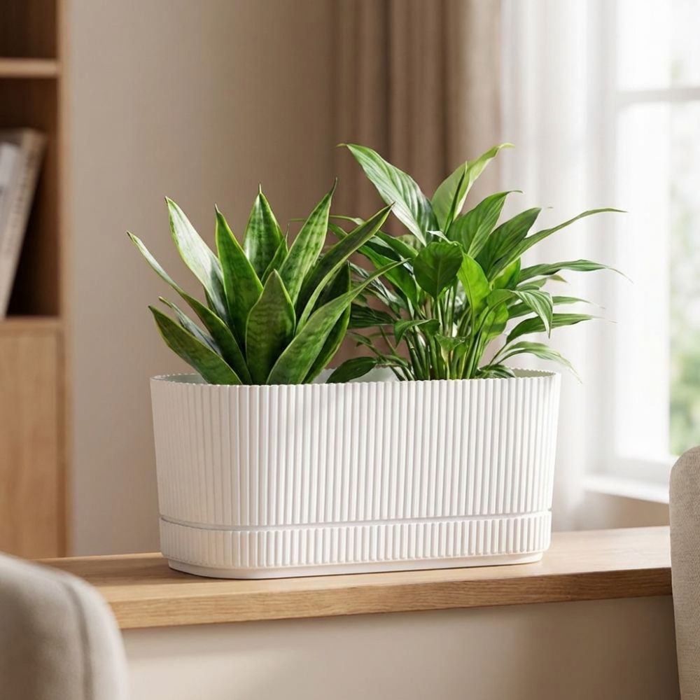 وعاء زهور بلاستيكي ذاتي الري م - مراجعة Aloe Vera Pot وسعره