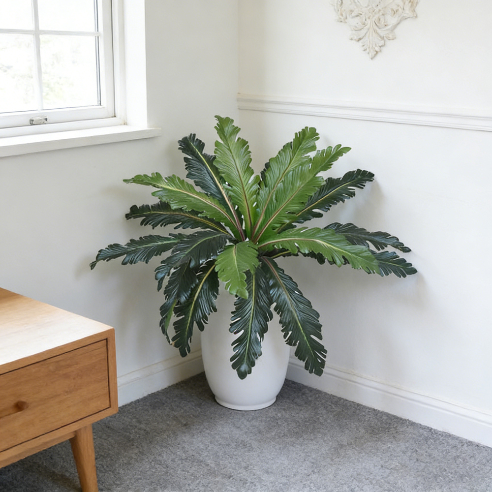 أوراق نباتات اصطناعية استوائية - مراجعة Dracaena Marginata وسعره